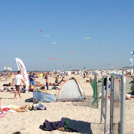 Seepferdchen Warnemuende * Rostock