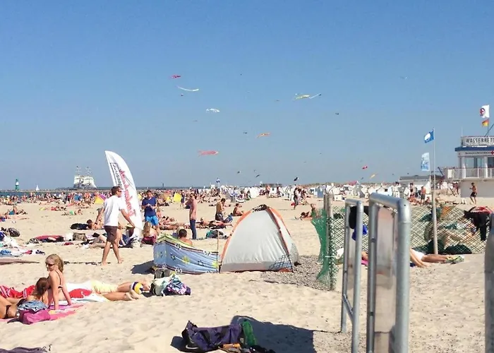 Seepferdchen Warnemünde