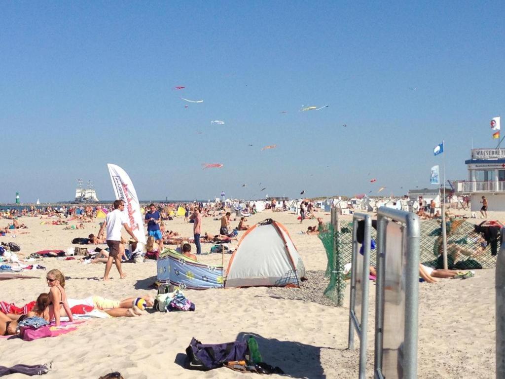 Seepferdchen Warnemünde * Rostock